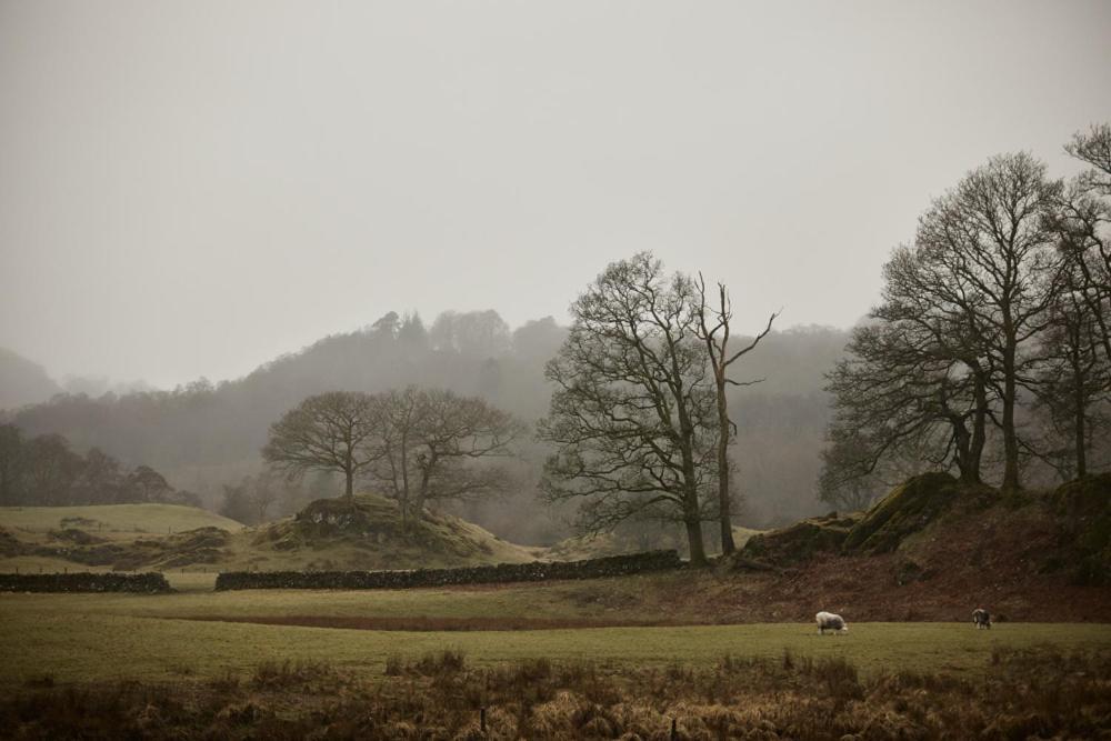 Little Nut Cottage Ambleside Dış mekan fotoğraf